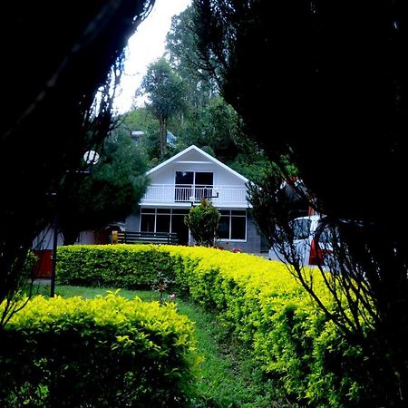 Golden Green Hotel Munnar Kültér fotó